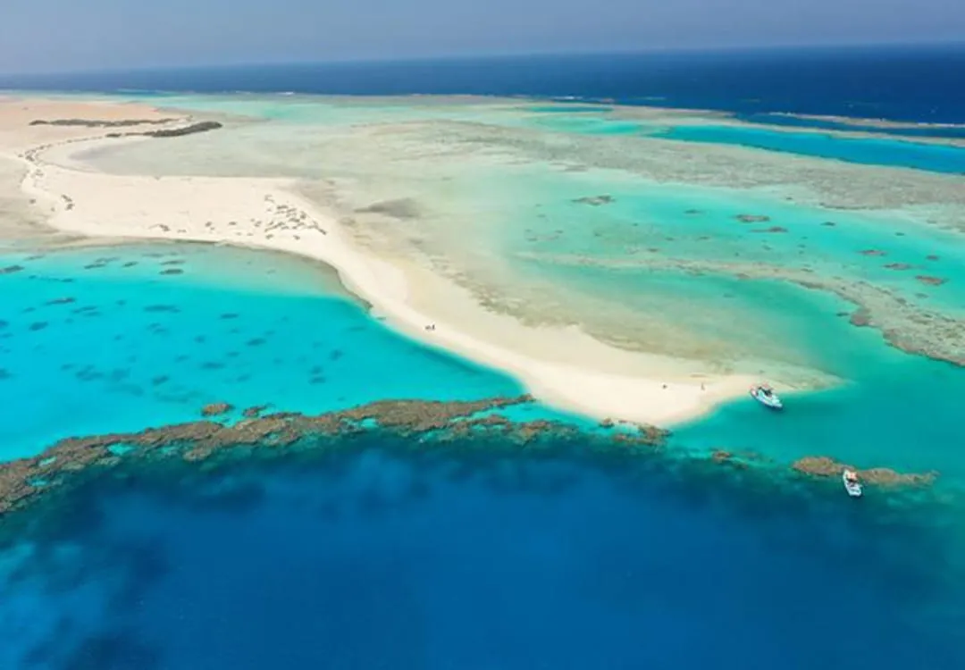 🏖️🌊 Sharm El Luli & El Qulaan Tour – Marsa Alam 🐠🌴 Sharm EL Luli /IMG-20260703-WA0014.jpg